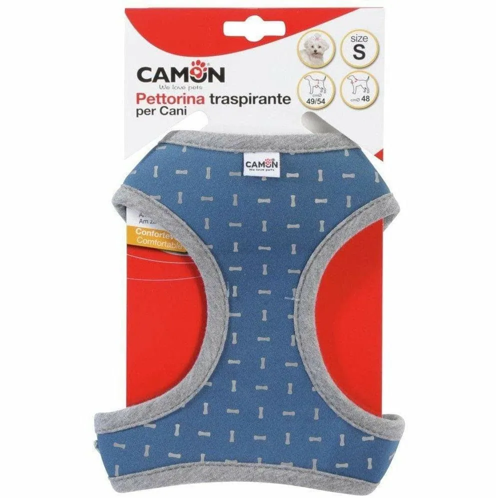 Blue harness with reflective bone-shaped trimming - Size S