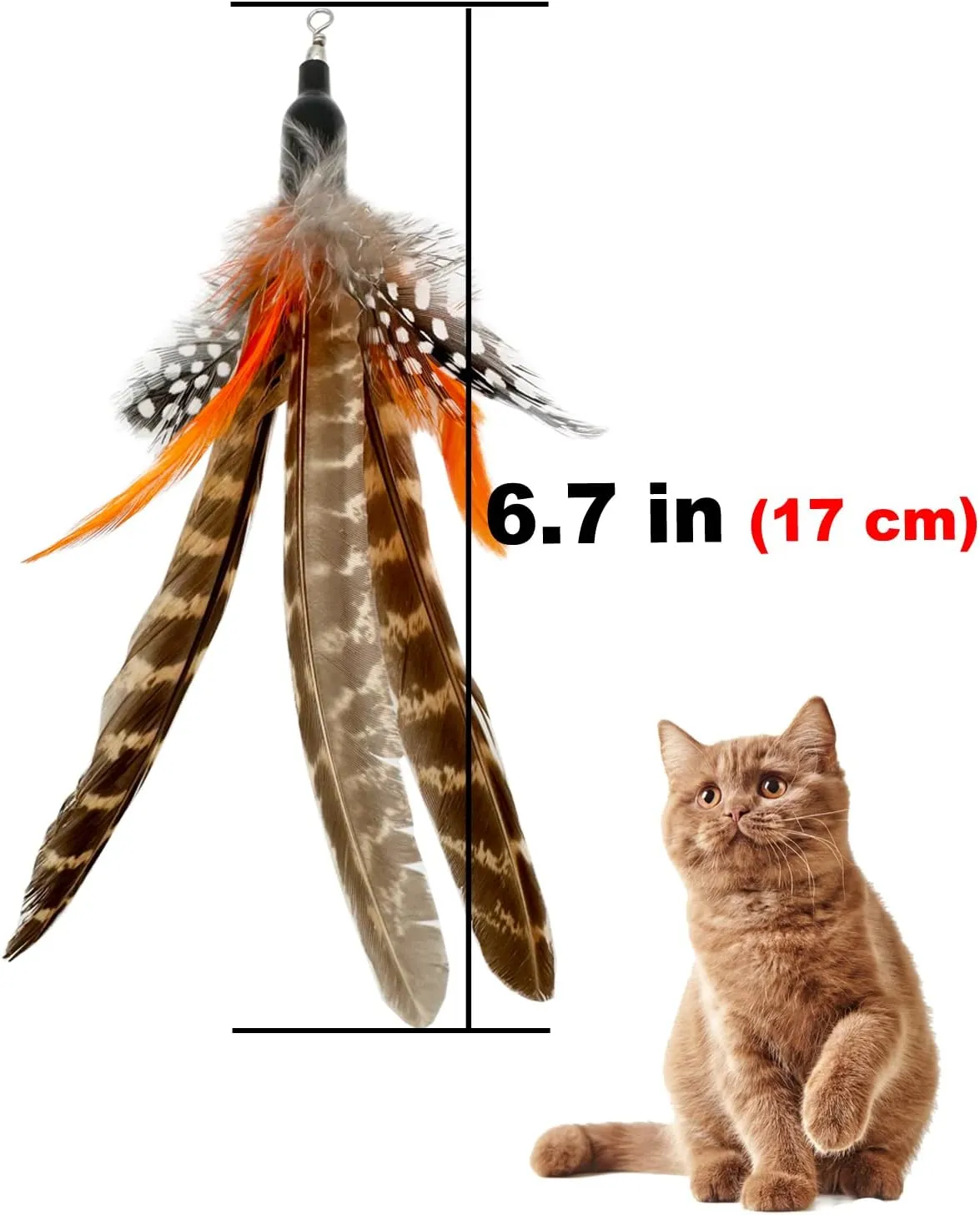 Cat Feather Toys Refills, 6 Pieces Handmade Da Bird Feathers Refill, Cat Wand Replacement Feather for Indoor Cats (B)