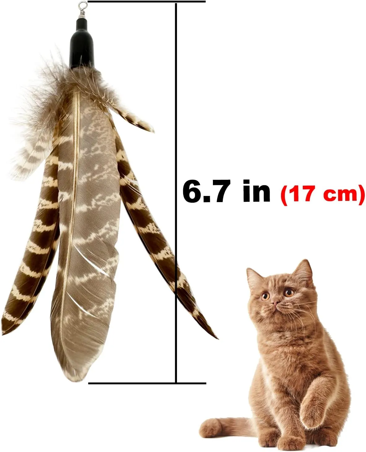 Cat Feather Toys Refills, 6 Pieces Handmade Da Bird Feathers Refill, Cat Wand Replacement Feather for Indoor Cats (C)