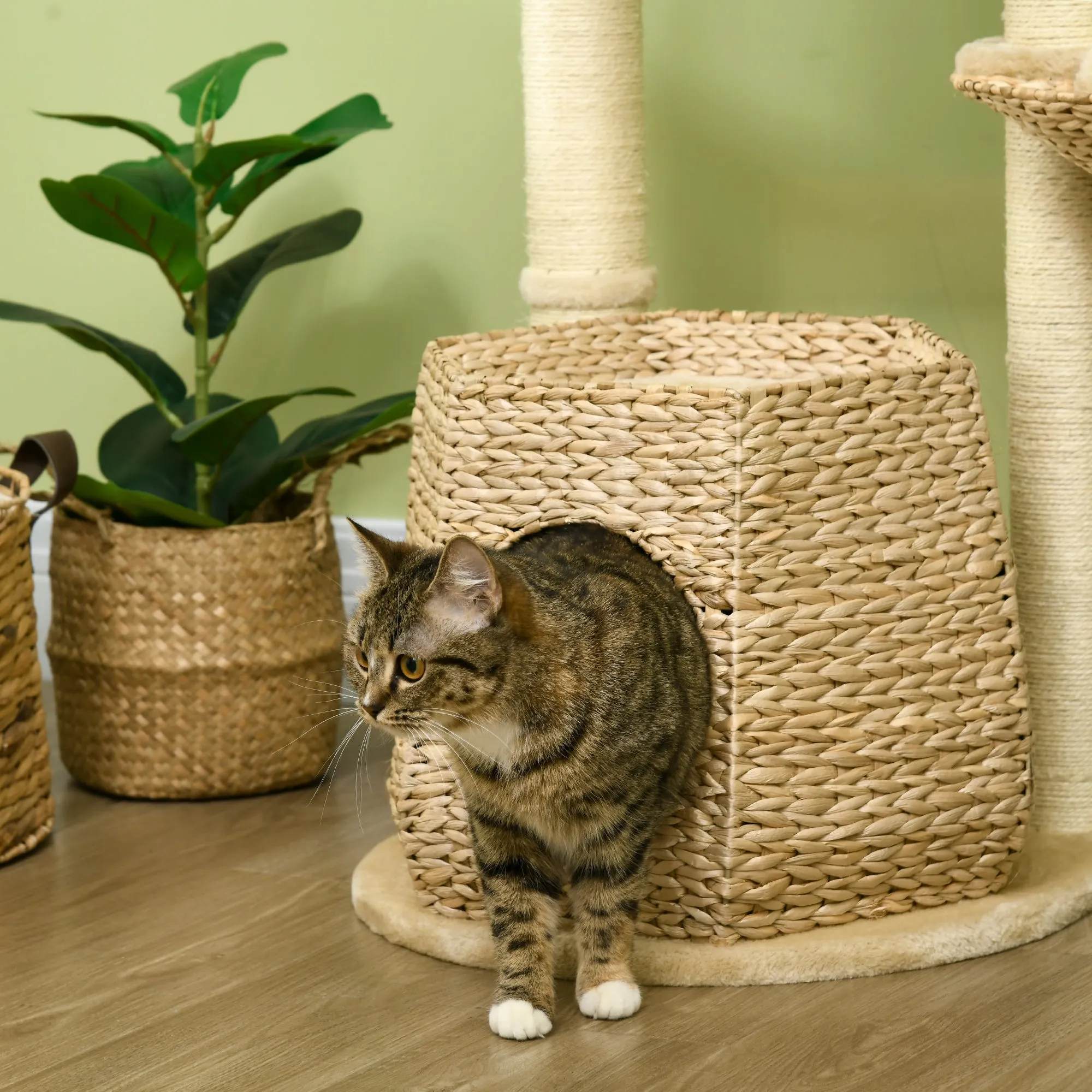 Cat Tree Activity Centre, with Cattail, Bed, Cat House, Sisal Post, Ball - Natural Tone