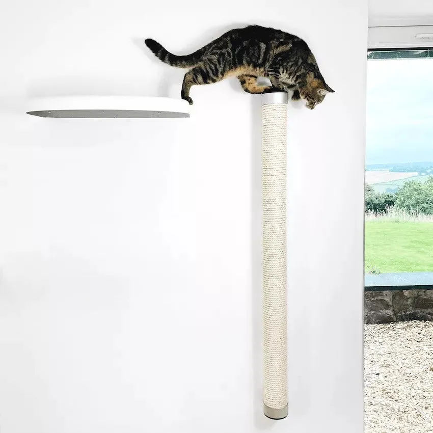 Catipilla Wall-Mounted Climbing Pole