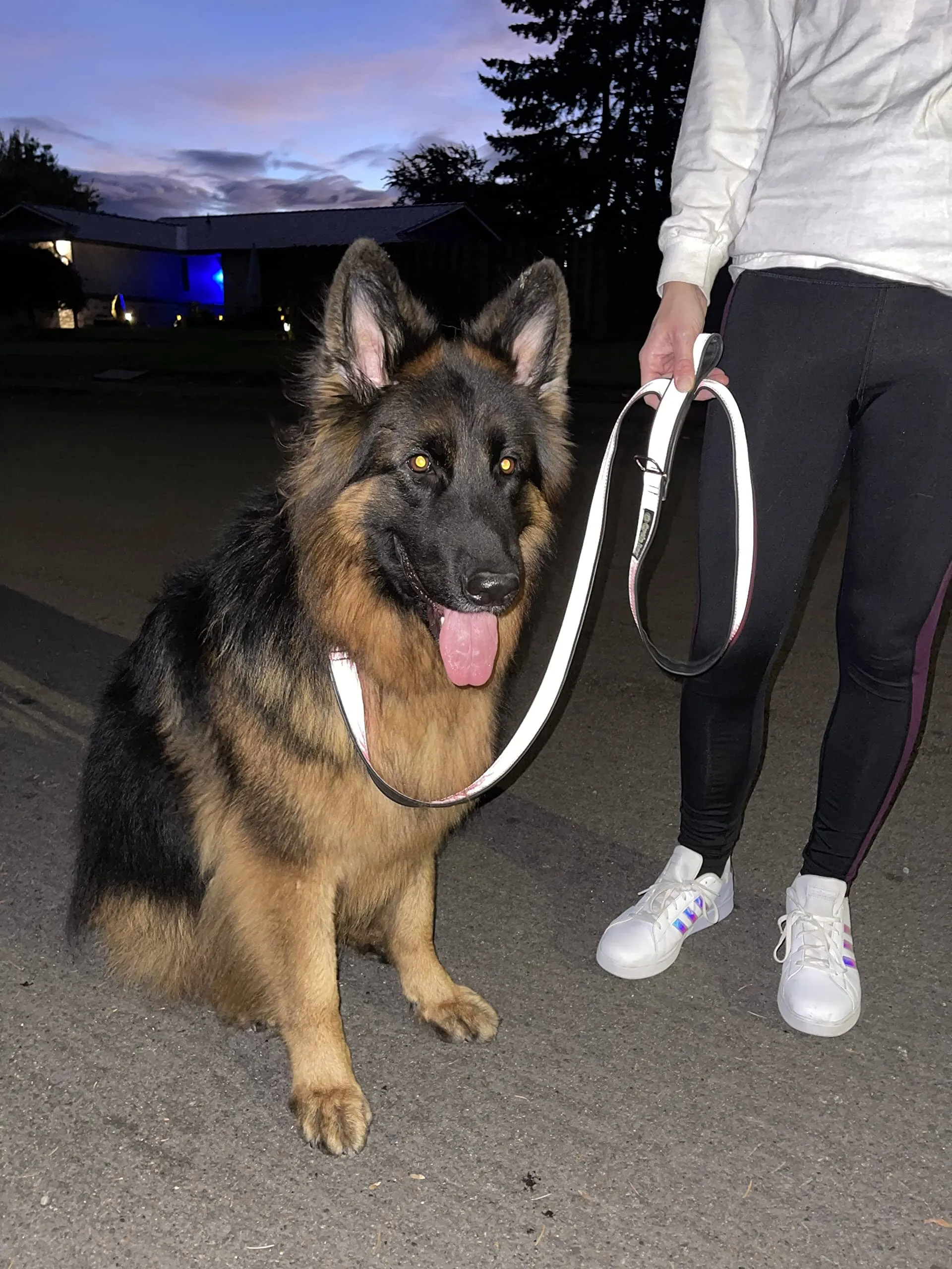 Cycle Dog Regular Max Reflective Earth-Friendly Dog Leash - Silver - 6' Feet