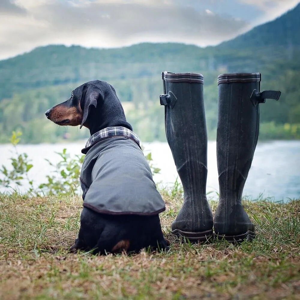 Dachshund rain coat Turner