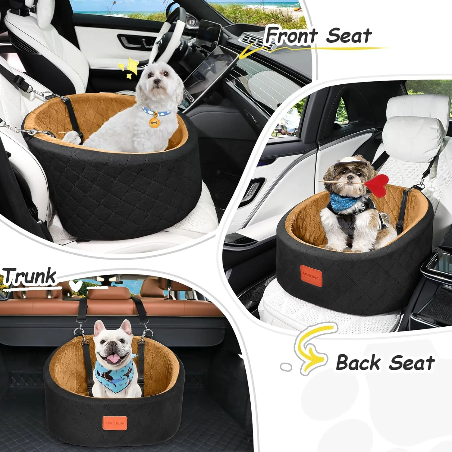 Dog Car Seat for Medium Dogs Under 25 lbs, Comfy Puppy Car Seat with 2 Clip-On Safety Leashes, Non-Slip Bottom Pet Travel Car Seat, Easy to Install and Fully Removable (Black/Coffee, Small)
