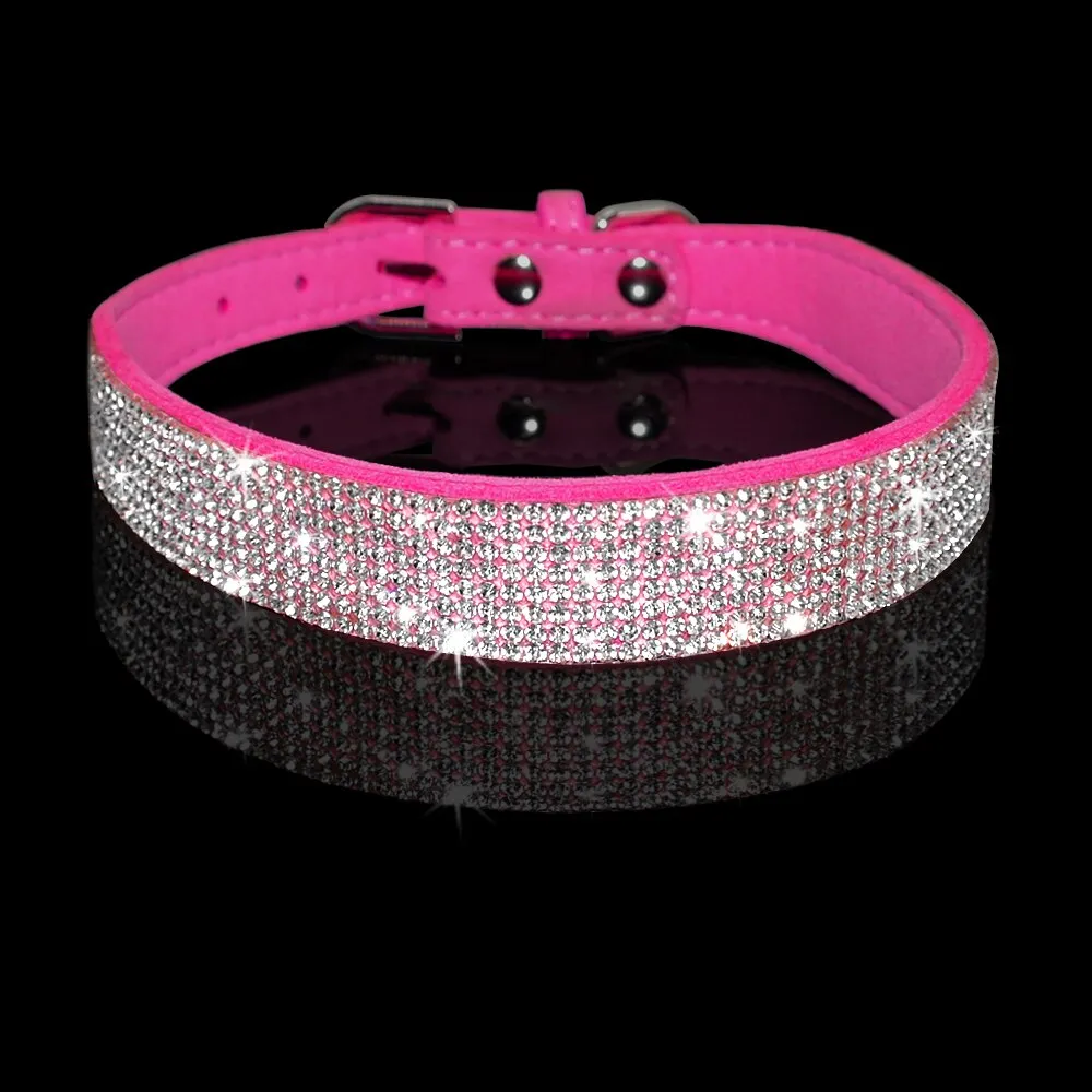 Dog Collars and Leashes