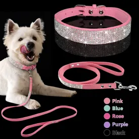 Dog Collars and Leashes