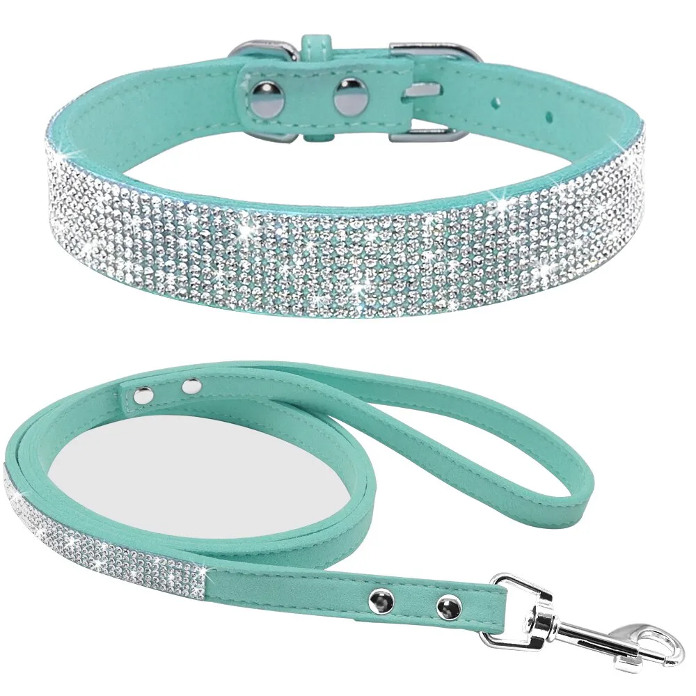 Dog Collars and Leashes