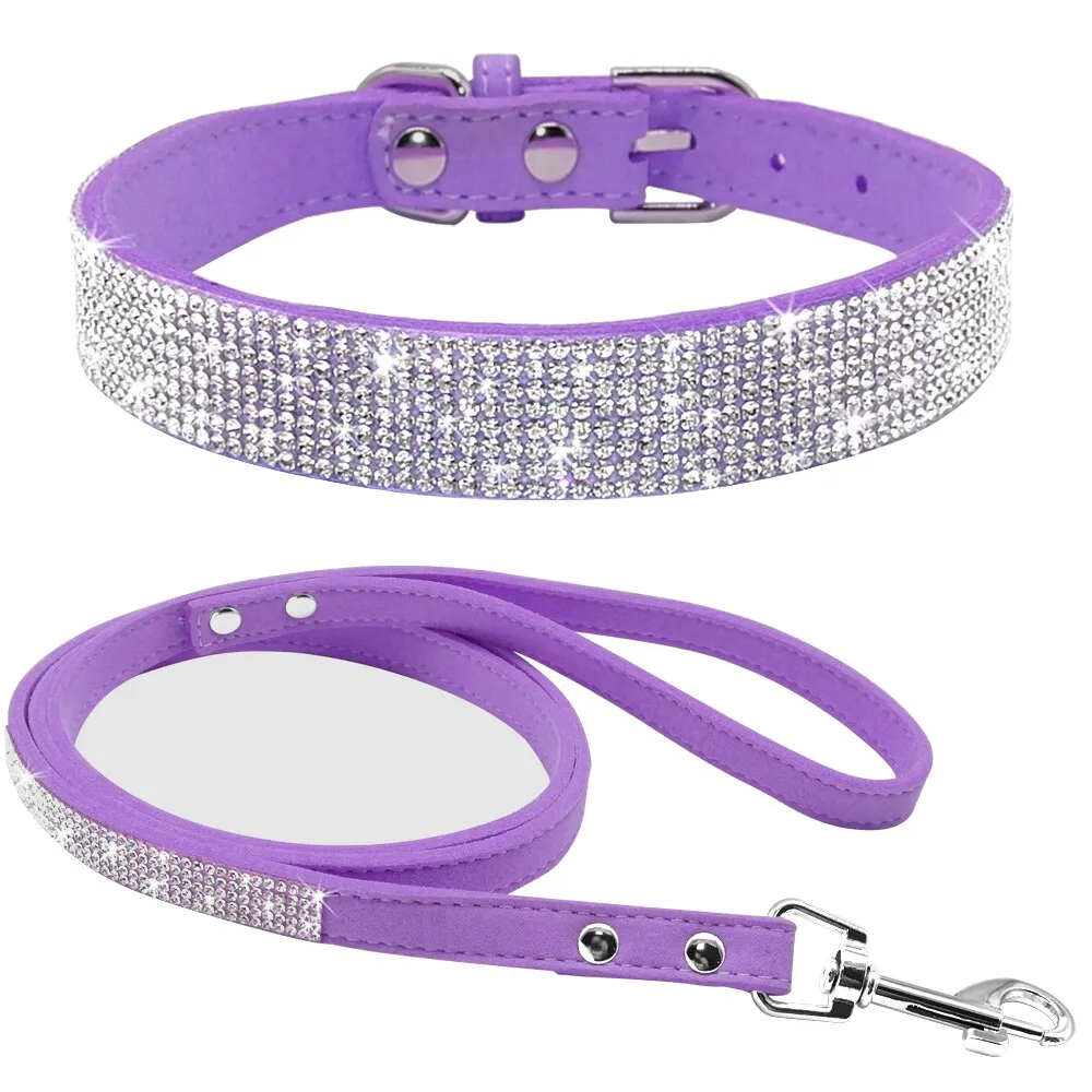 Dog Collars and Leashes