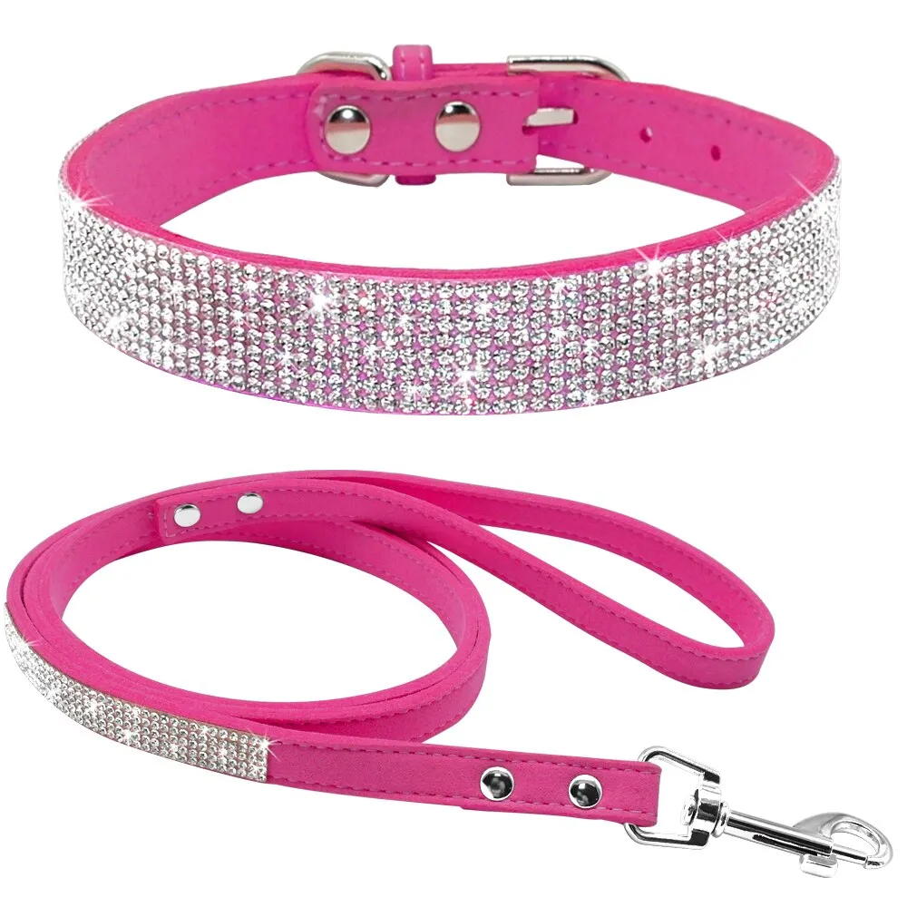 Dog Collars and Leashes