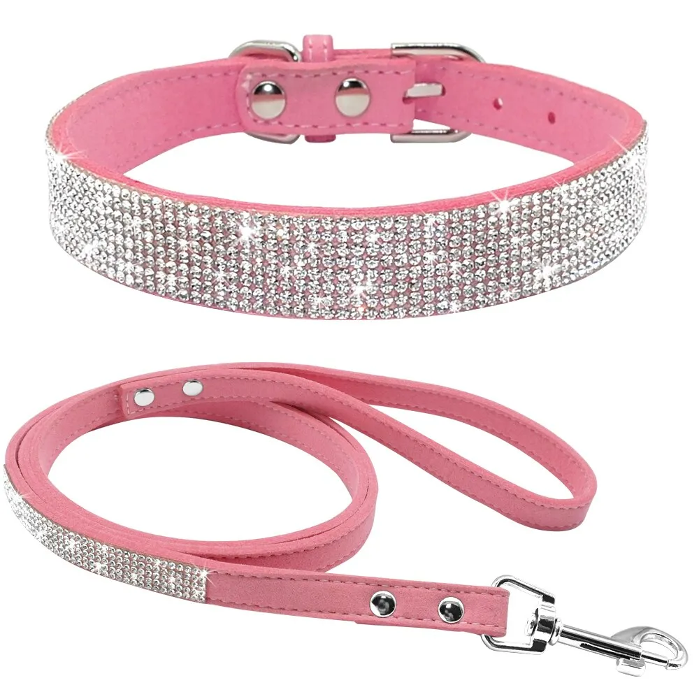 Dog Collars and Leashes