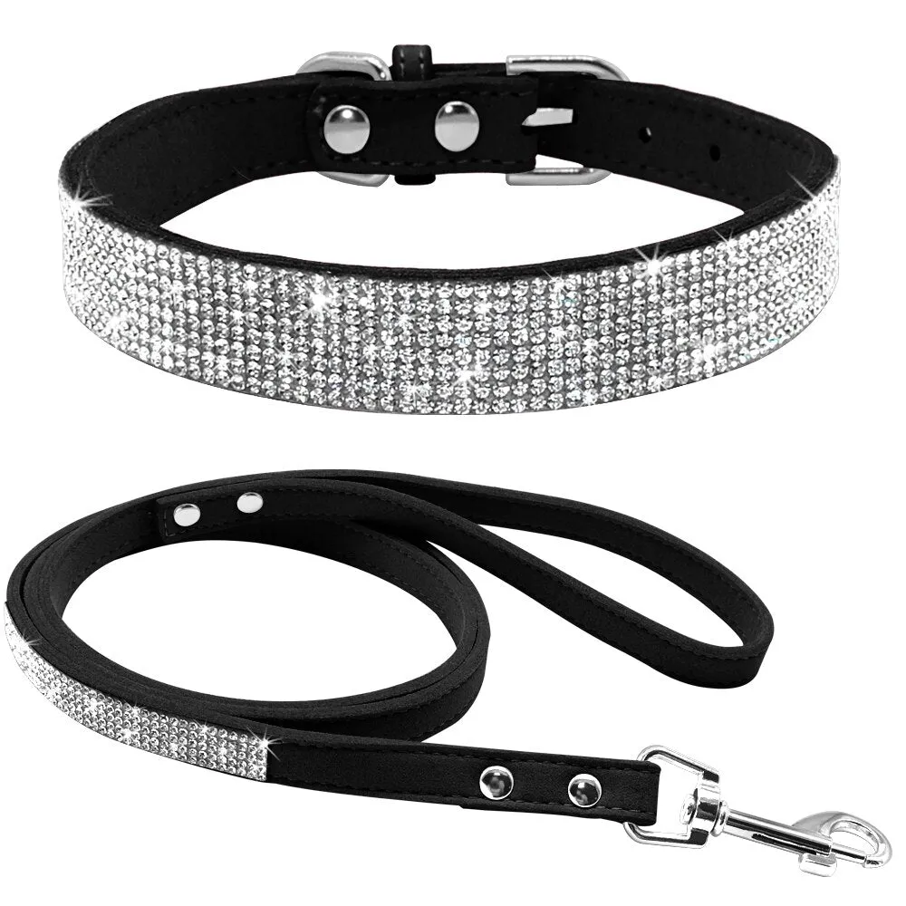 Dog Collars and Leashes