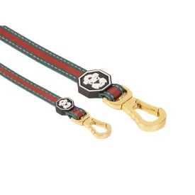 G Stripe Dog Leash from Fresh Pawz