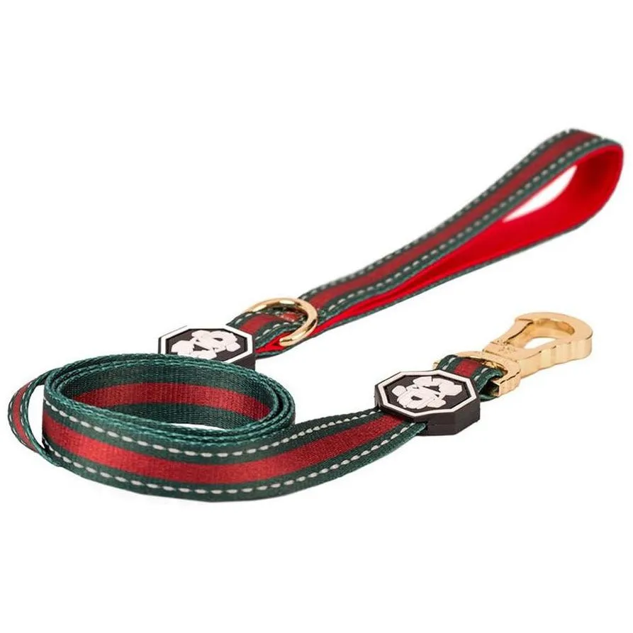 G Stripe Dog Leash from Fresh Pawz