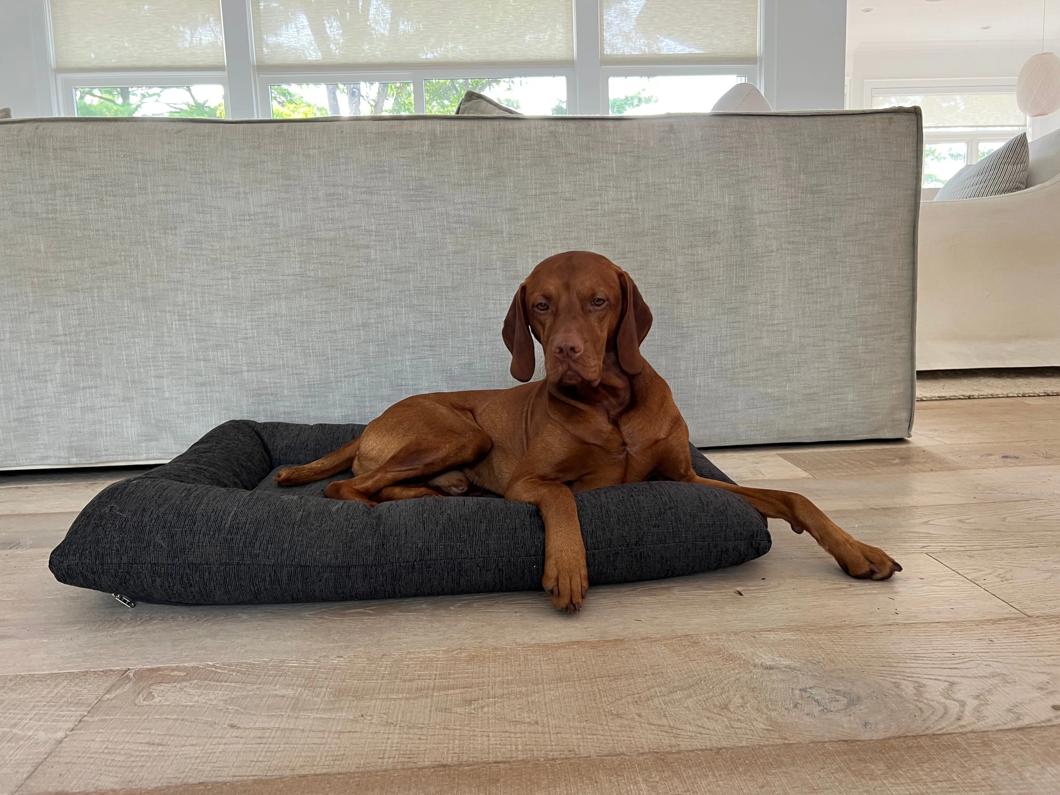 Hugo Futon | Chenille Charcoal