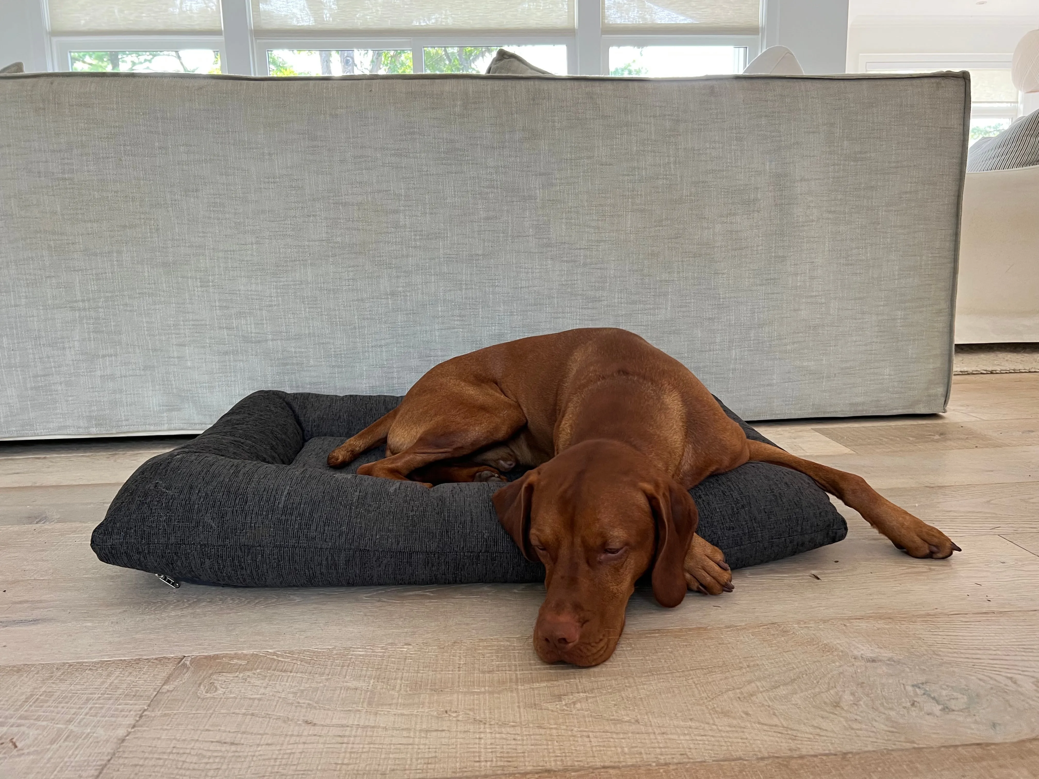 Hugo Futon | Chenille Charcoal