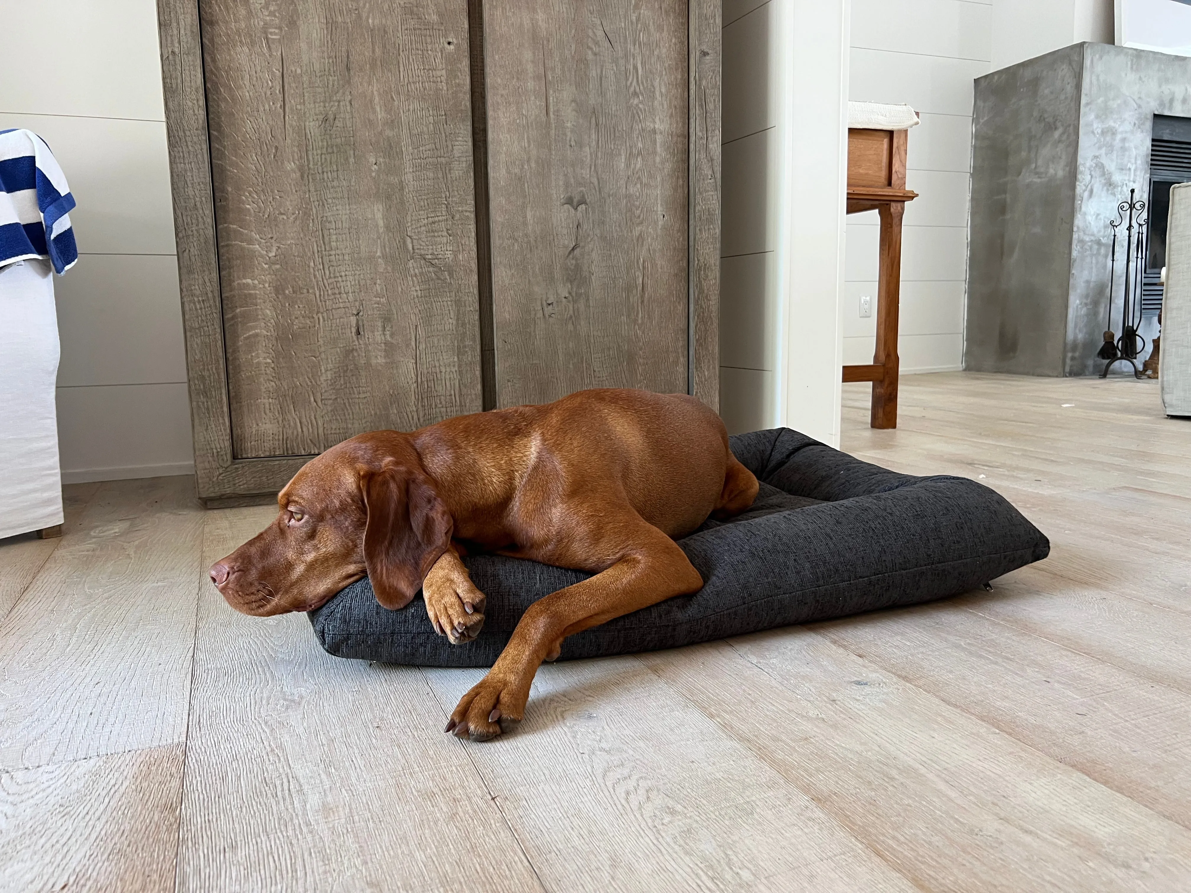 Hugo Futon | Chenille Charcoal