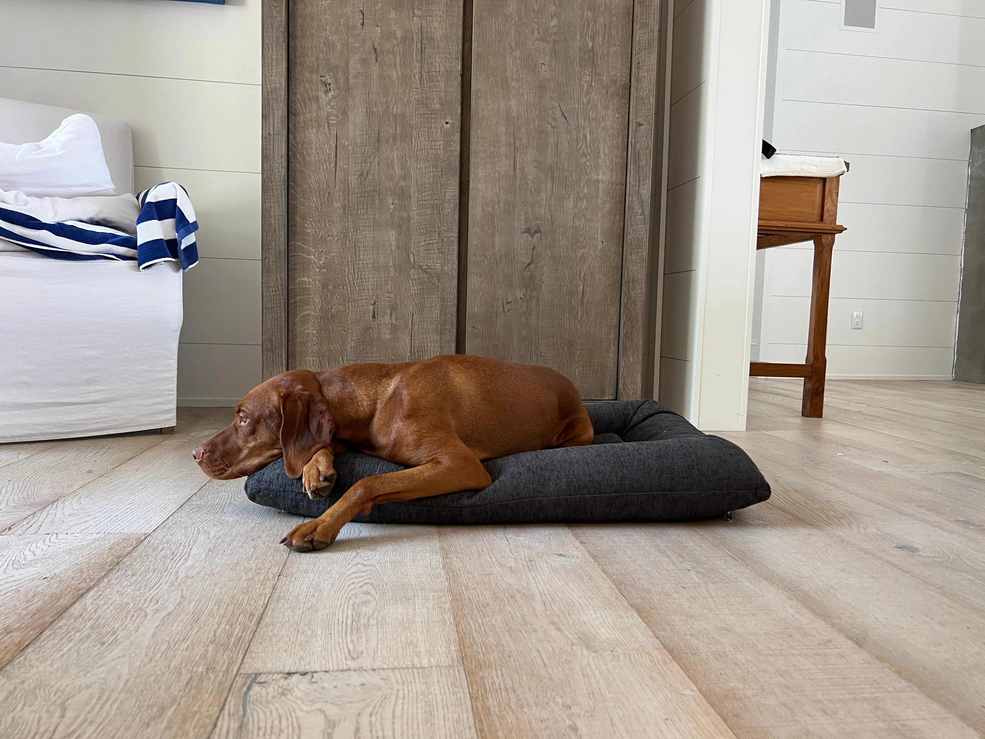 Hugo Futon | Chenille Charcoal
