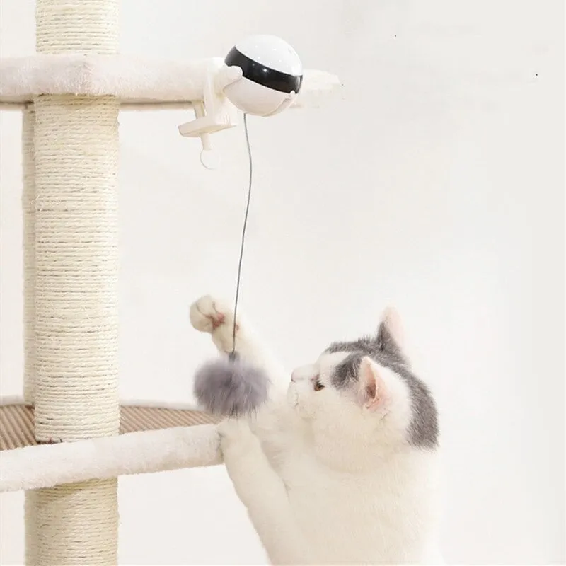 Interactive Cat Teaser Toy