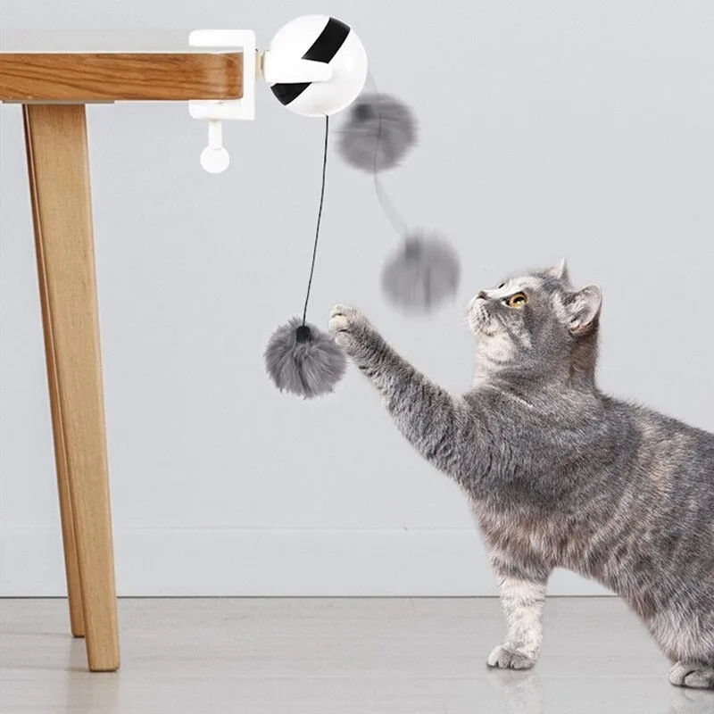 Interactive Cat Teaser Toy