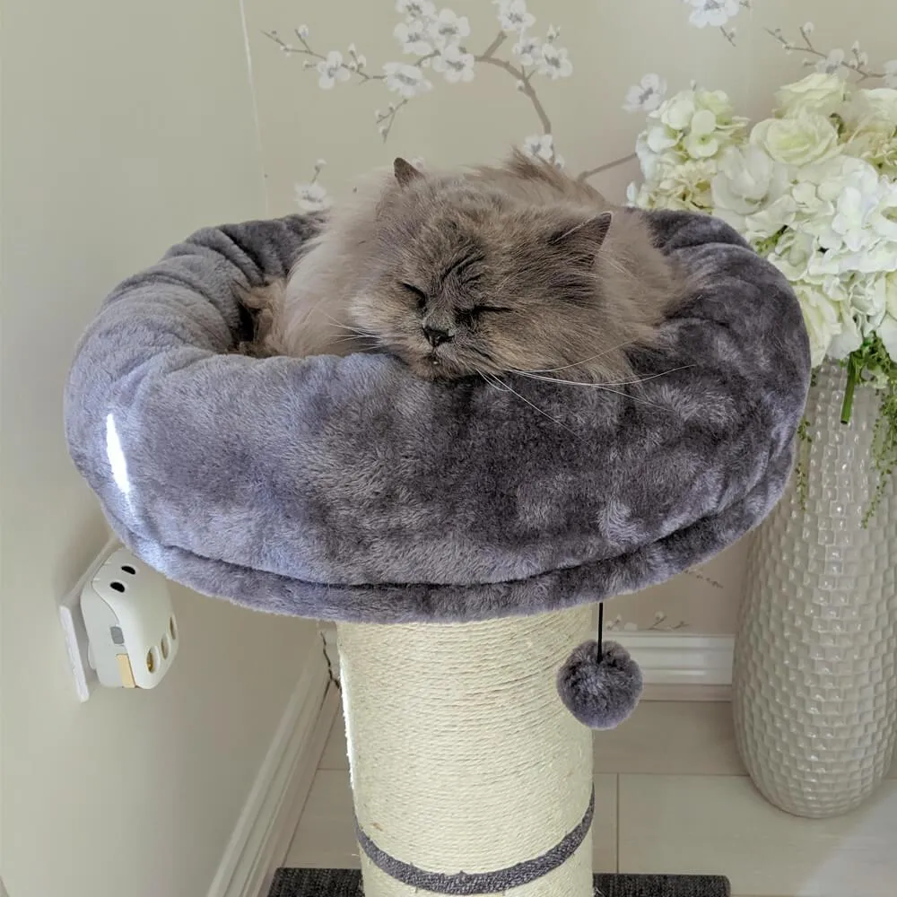Large Jumbo Cat Scratching Post with Play Ball 74cm