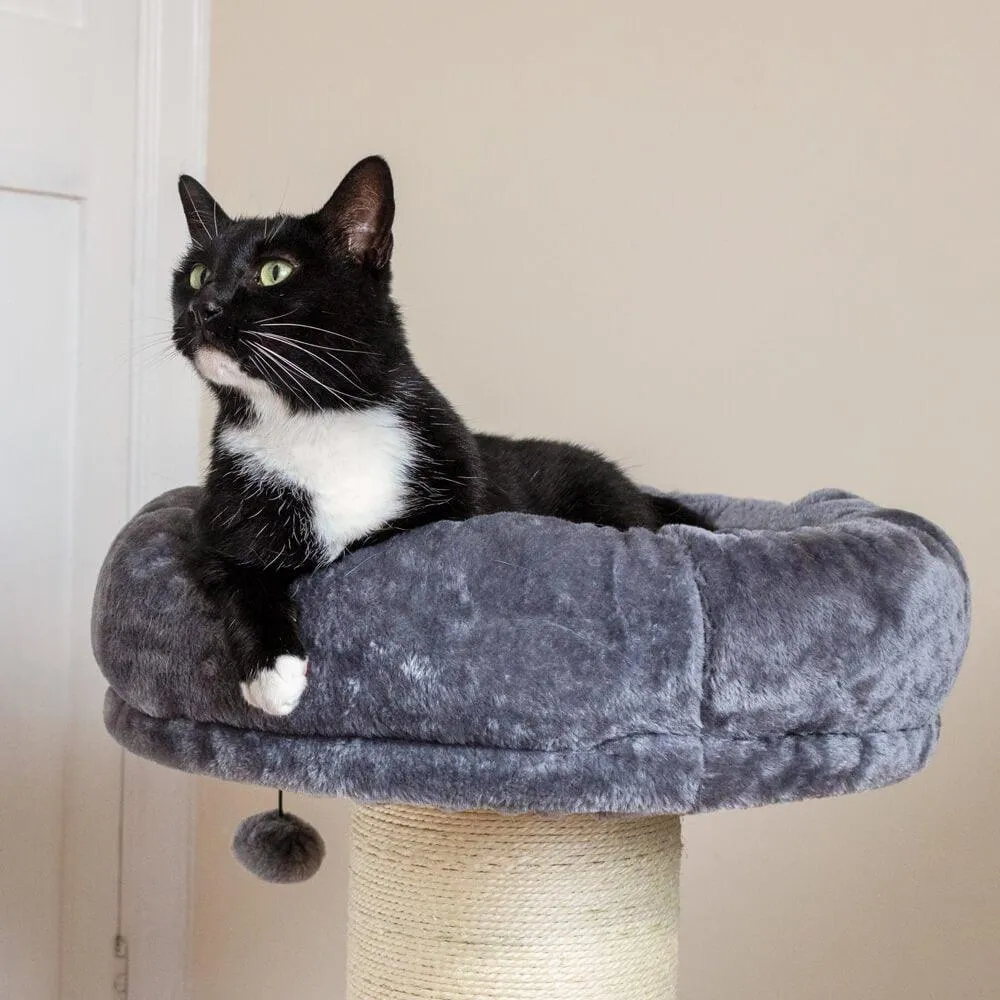 Large Jumbo Cat Scratching Post with Play Ball 74cm