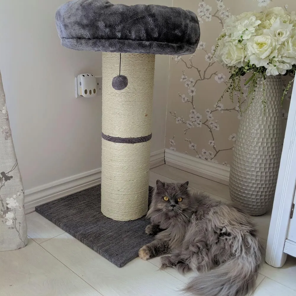 Large Jumbo Cat Scratching Post with Play Ball 74cm