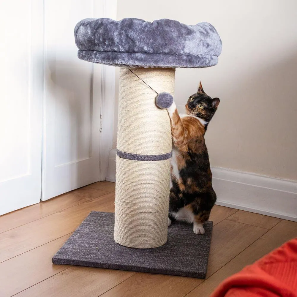 Large Jumbo Cat Scratching Post with Play Ball 74cm