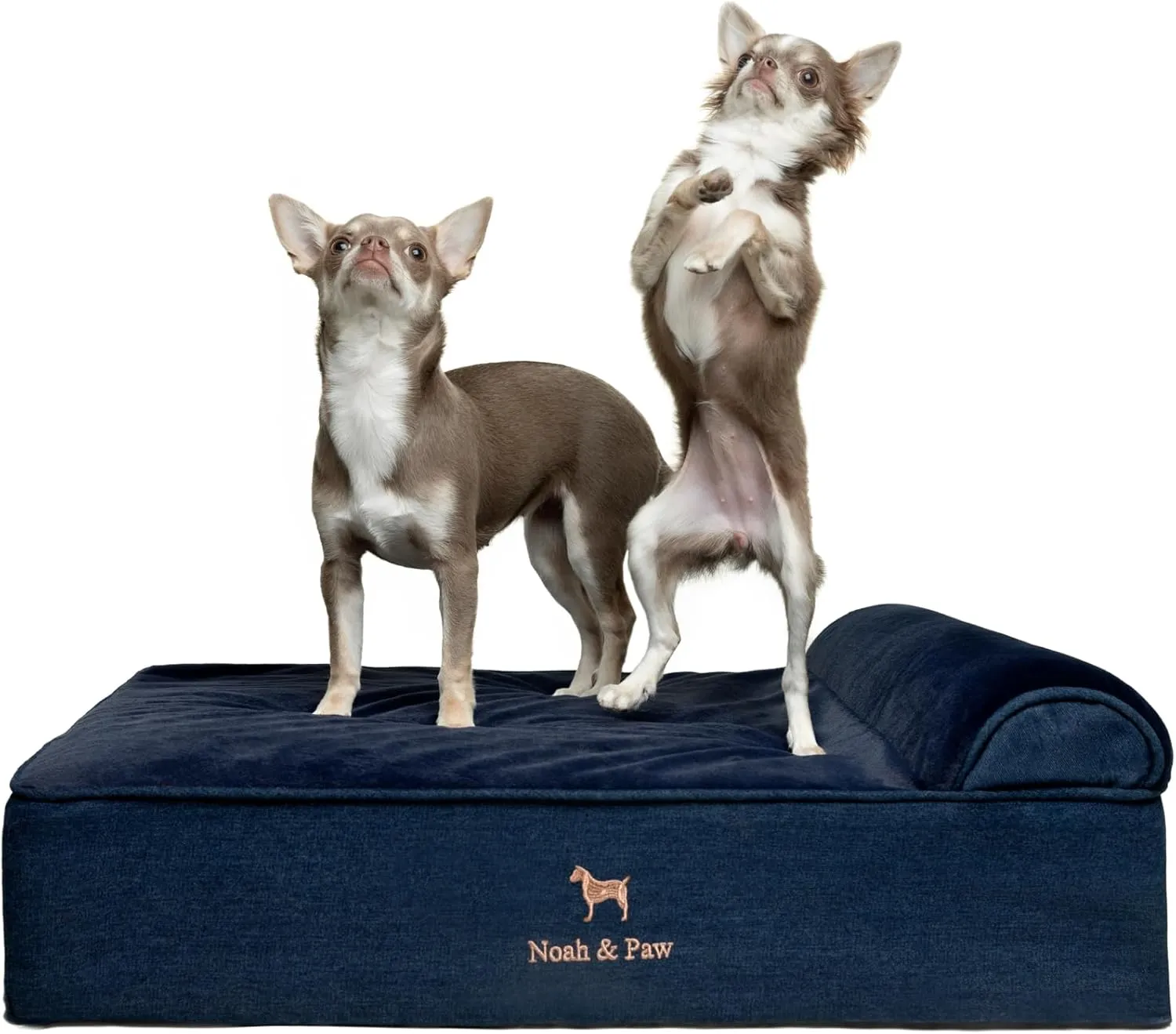 NOAH & PAW Dog Bed, 28x23x11 Inch, Orthopedic Dog Beds for Medium Size Pets, Eggshell Memory Foam Infused with Cooling Gel, Waterproof, Machine Washable, Includes Inner Cover (Denim Collection)