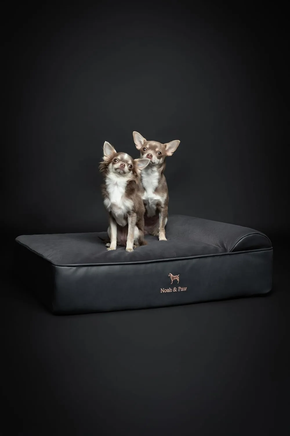 NOAH & PAW Dog Bed, 28x23x11 Inch, Orthopedic Dog Beds for Medium Size Pets, Eggshell Memory Foam Infused with Cooling Gel, Waterproof, Machine Washable, Includes Inner Cover (Faux Leather)