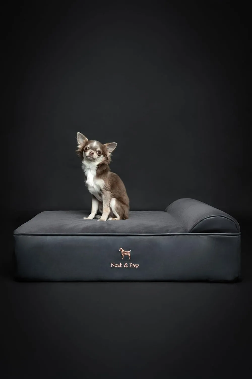 NOAH & PAW Dog Bed, 28x23x11 Inch, Orthopedic Dog Beds for Medium Size Pets, Eggshell Memory Foam Infused with Cooling Gel, Waterproof, Machine Washable, Includes Inner Cover (Faux Leather)