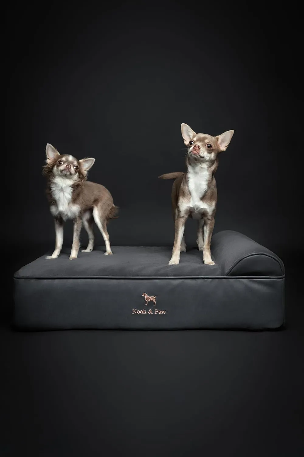 NOAH & PAW Dog Bed, 28x23x11 Inch, Orthopedic Dog Beds for Medium Size Pets, Eggshell Memory Foam Infused with Cooling Gel, Waterproof, Machine Washable, Includes Inner Cover (Faux Leather)
