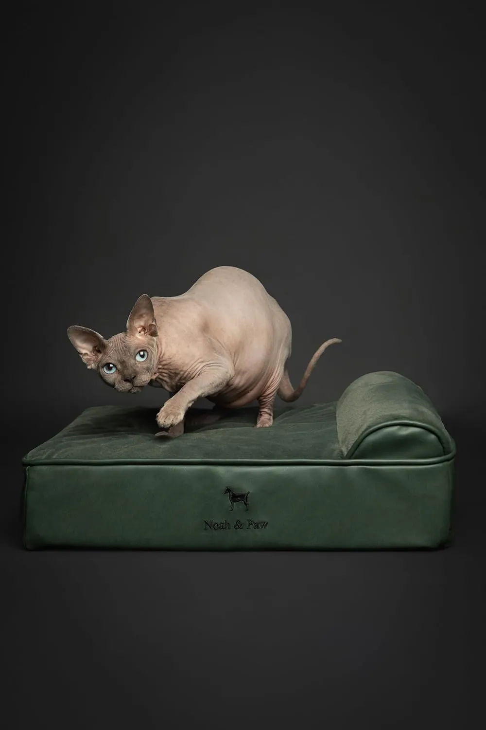 NOAH & PAW Small Dog Bed, 20x15x8 Inch, Cat Bed for Indoor Cats, Orthopedic Eggshell Memory Foam Infused with Cooling Gel, Waterproof, Machine Washable, Includes Inner Cover (Faux Leather)
