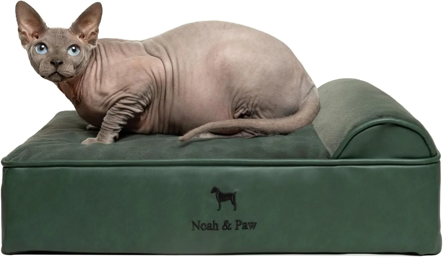 NOAH & PAW Small Dog Bed, 20x15x8 Inch, Cat Bed for Indoor Cats, Orthopedic Eggshell Memory Foam Infused with Cooling Gel, Waterproof, Machine Washable, Includes Inner Cover (Faux Leather)