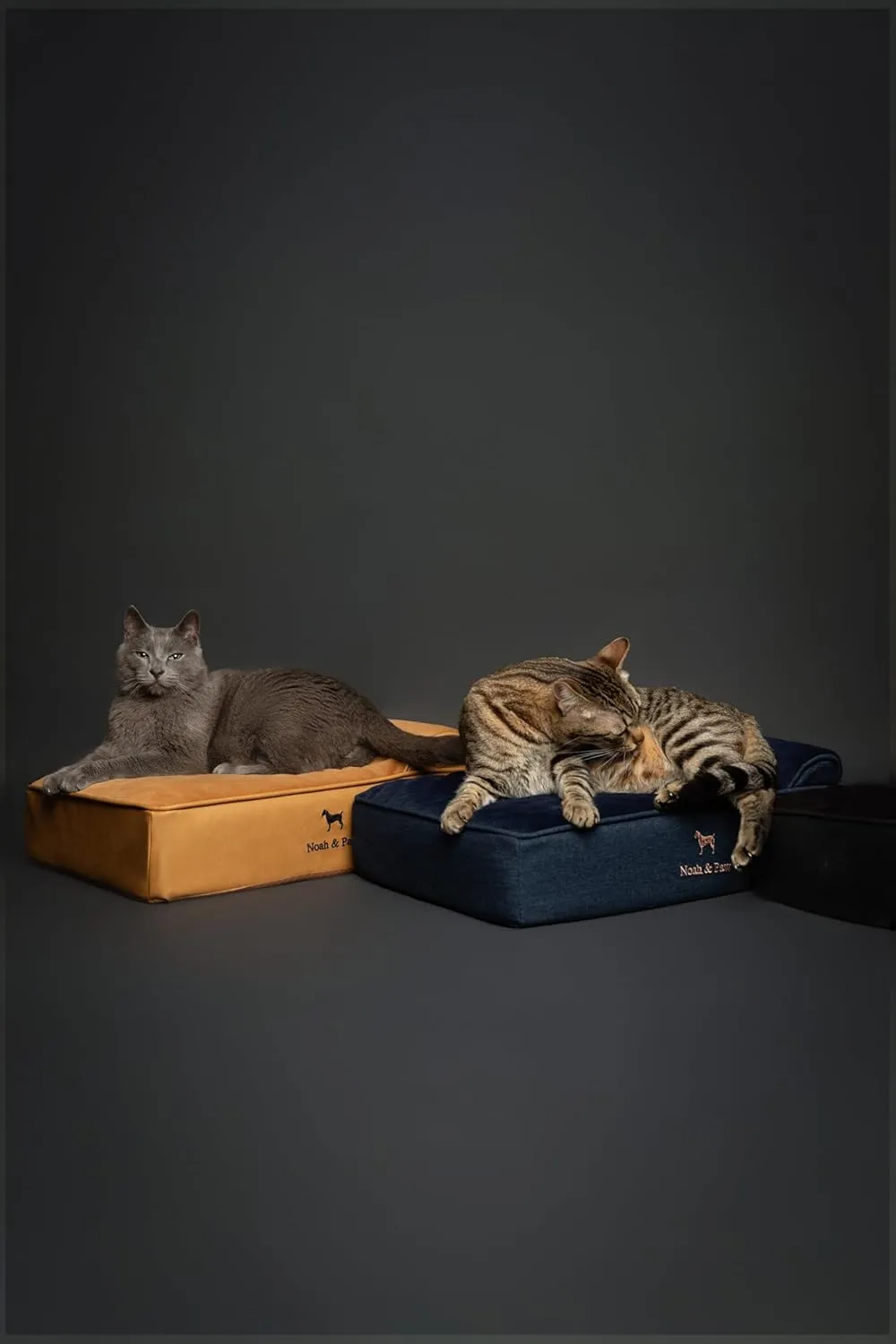 NOAH & PAW Small Dog Bed, 20x15x8 Inch, Cat Bed for Indoor Cats, Orthopedic Eggshell Memory Foam Infused with Cooling Gel, Waterproof, Machine Washable, Includes Inner Cover (Faux Leather)