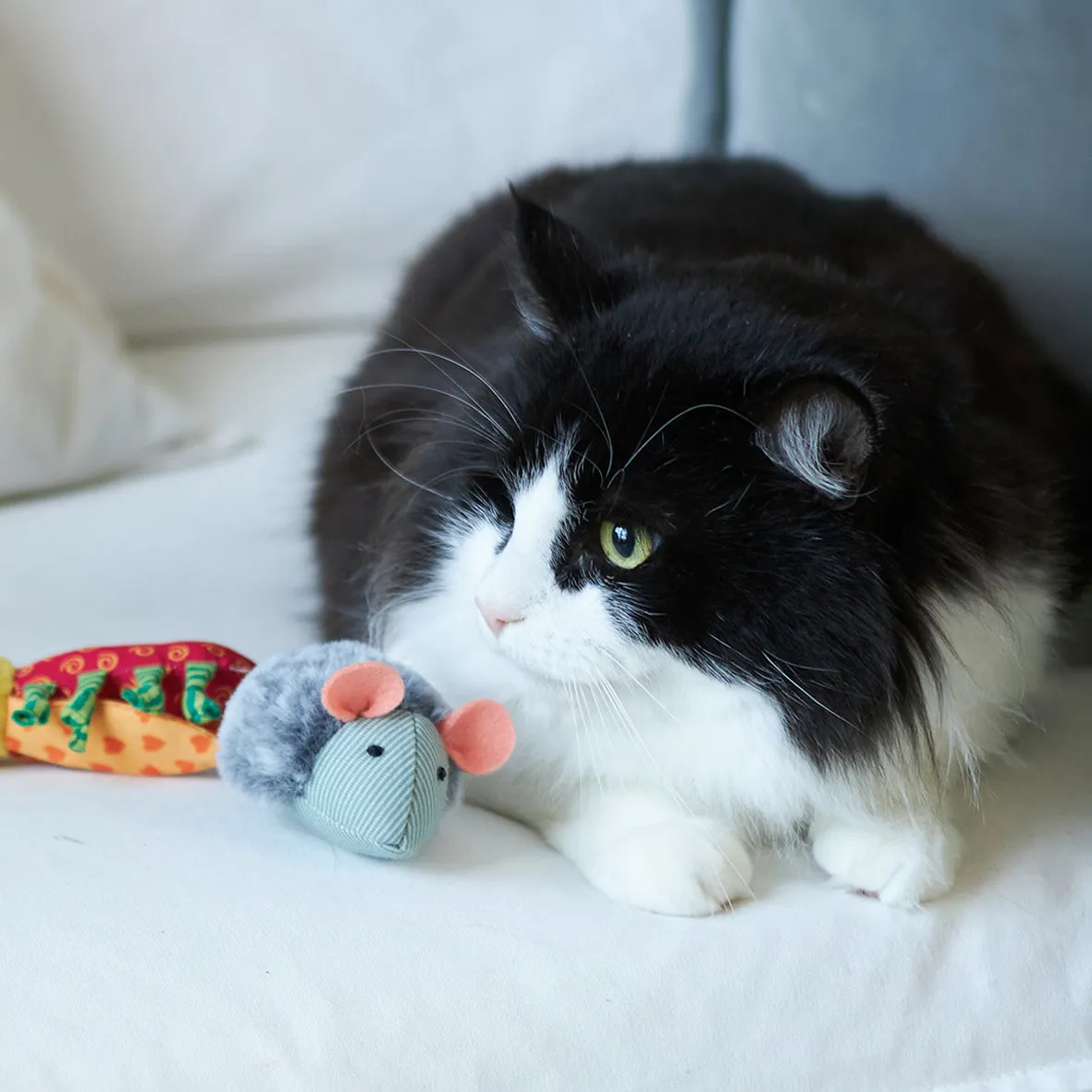 Noisy Mouse with sound chip and catnip