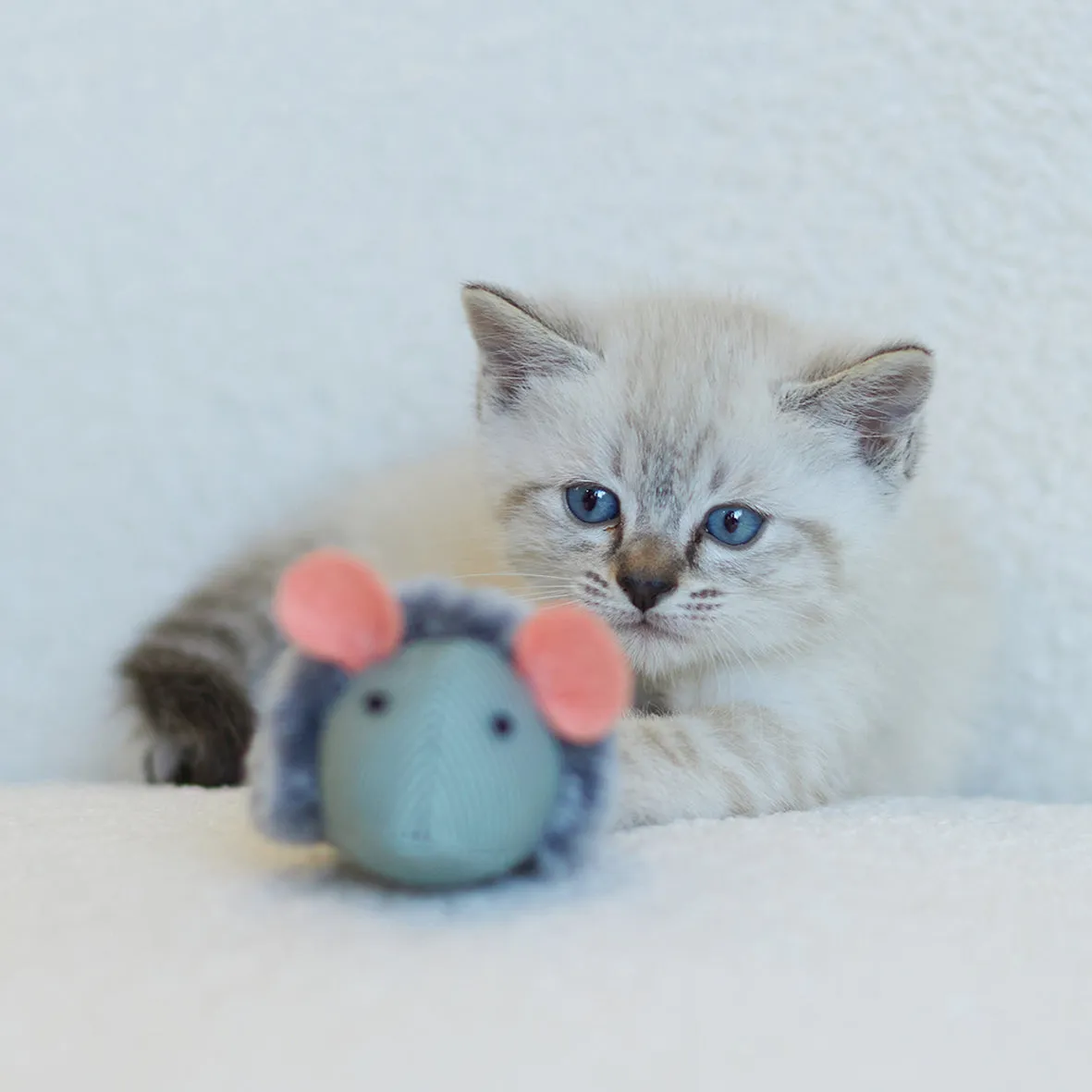 Noisy Mouse with sound chip and catnip