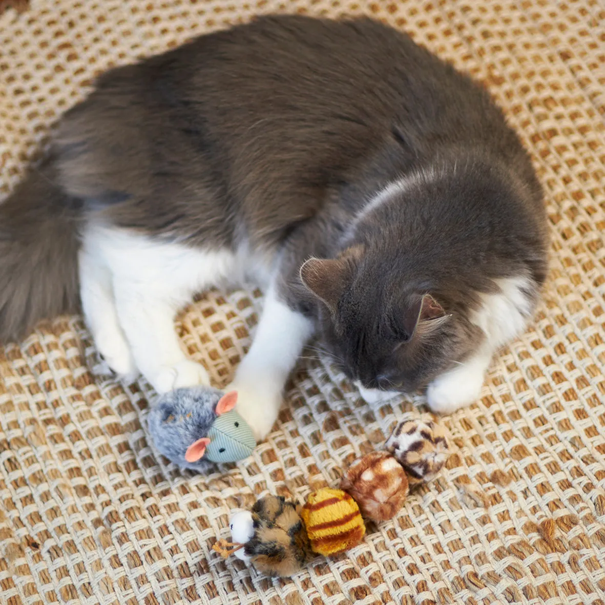 Noisy Mouse with sound chip and catnip
