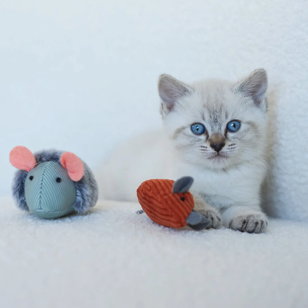 Noisy Mouse with sound chip and catnip