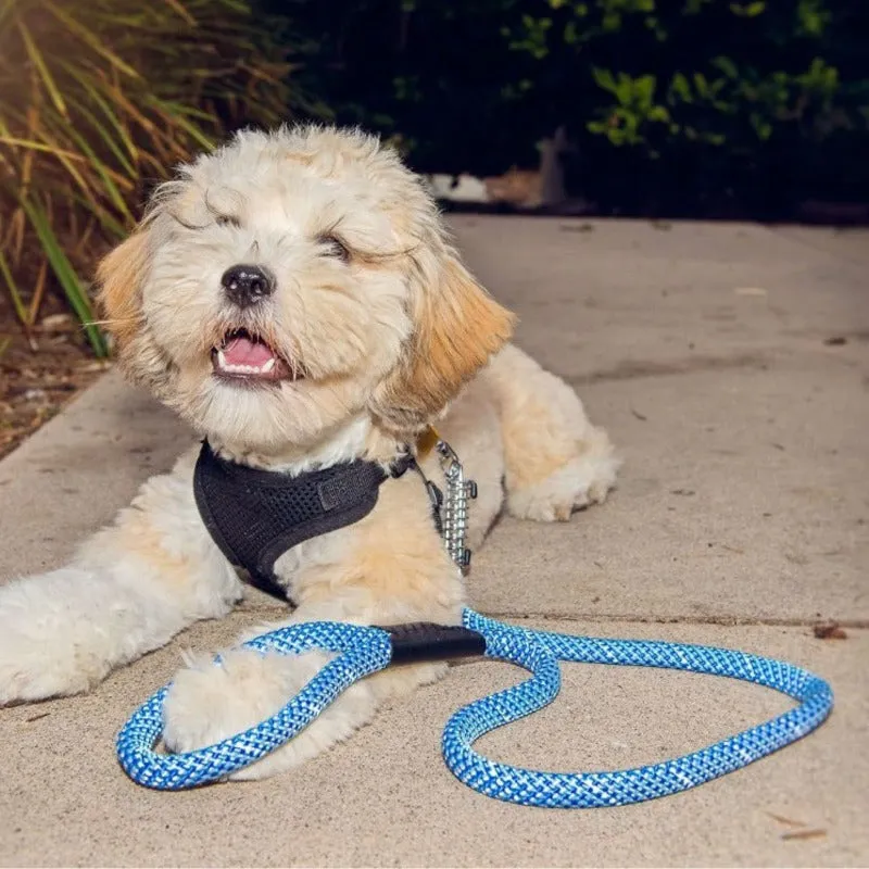 Petique, Reflective Dog Leash with Shock Absorber, Elektric Blue