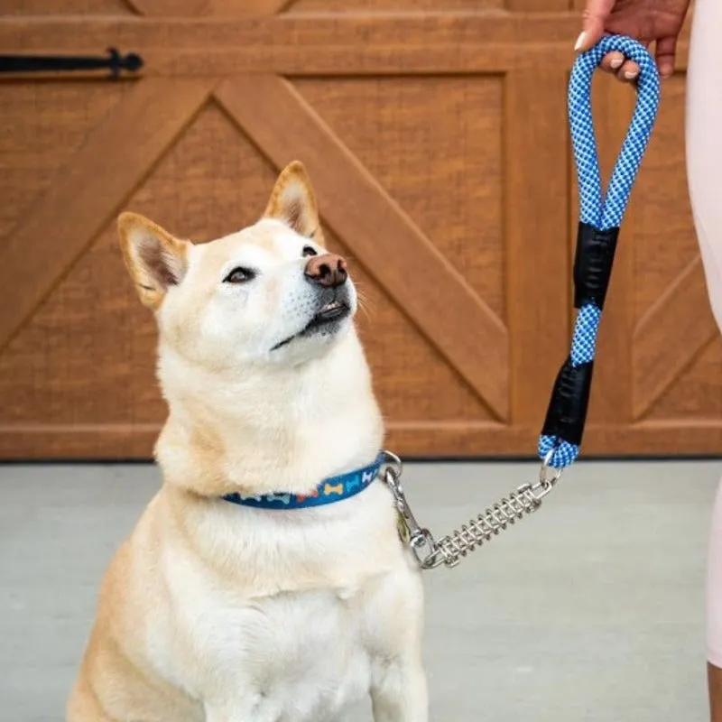 Petique, Reflective Dog Leash with Shock Absorber, Elektric Blue