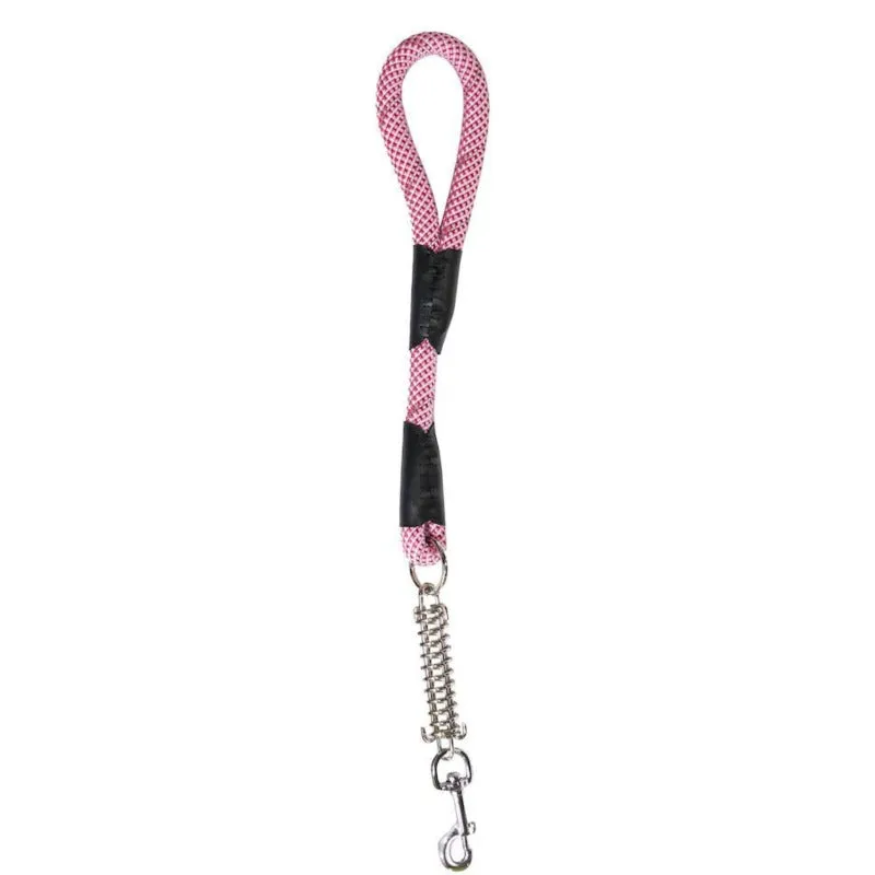 Petique, Reflective Dog Leash with Shock Absorber, Kandy kane