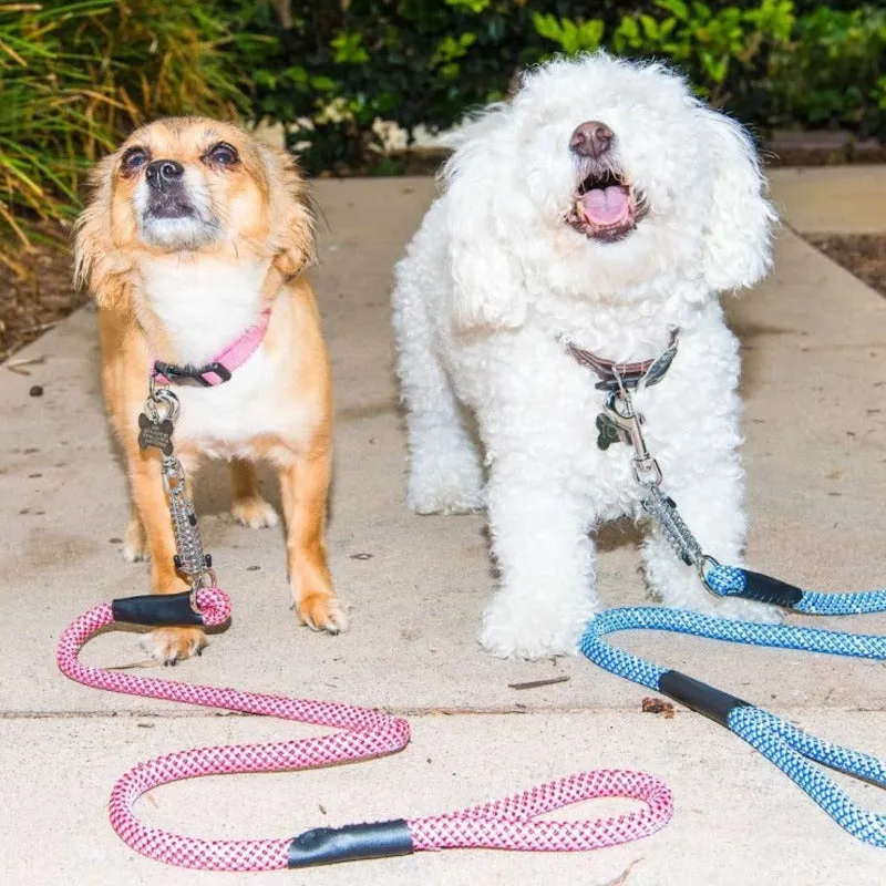 Petique, Reflective Dog Leash with Shock Absorber, Kandy kane