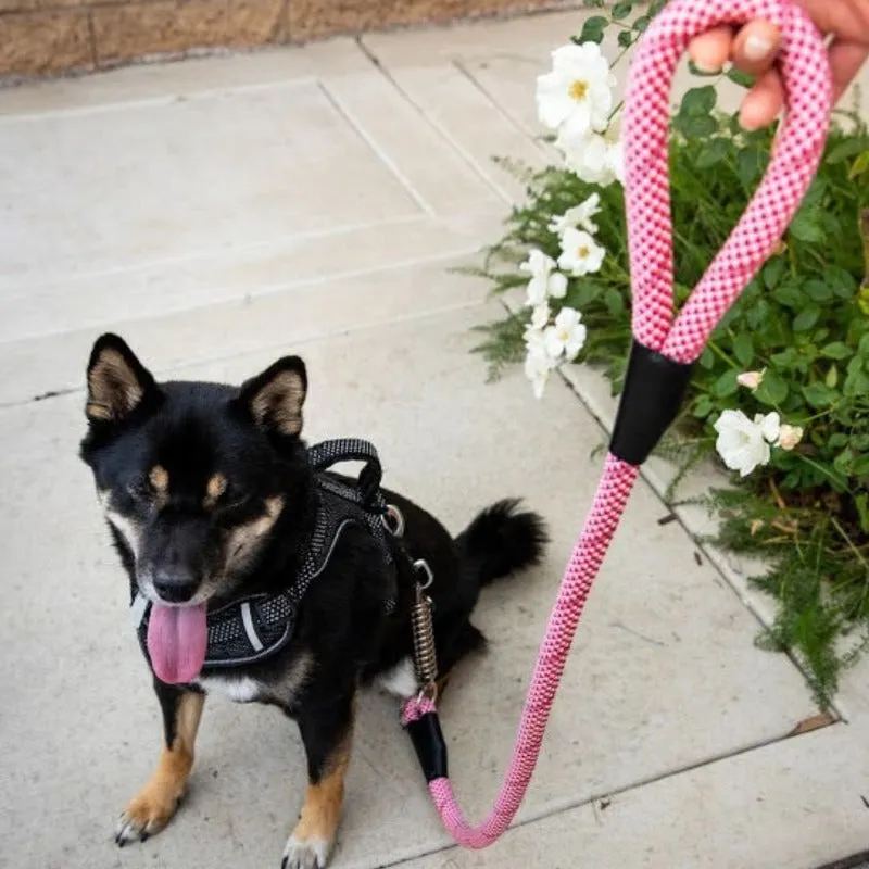Petique, Reflective Dog Leash with Shock Absorber, Kandy kane