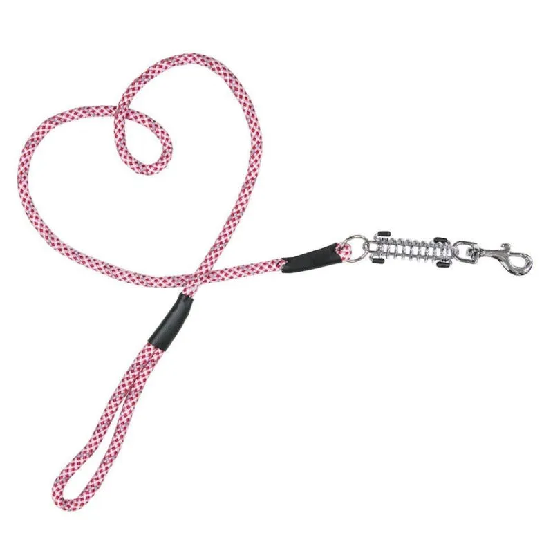 Petique, Reflective Dog Leash with Shock Absorber, Kandy kane