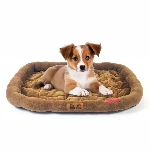 Petter World Ultra Soft Mat with Padded Bed for Dogs (Mocha Brown)