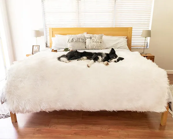 PupProtector Waterproof Dog Blanket - Options