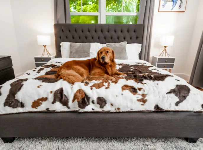 PupProtector Waterproof Dog Blanket - Options