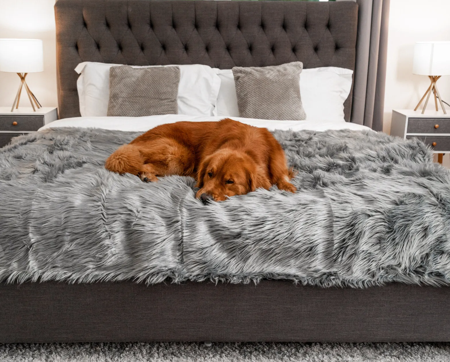 PupProtector Waterproof Dog Blanket - Options