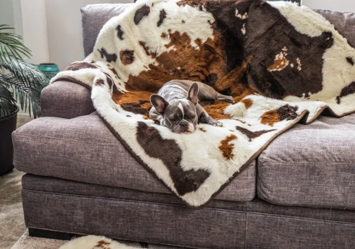 PupProtector Waterproof Dog Blanket - Options