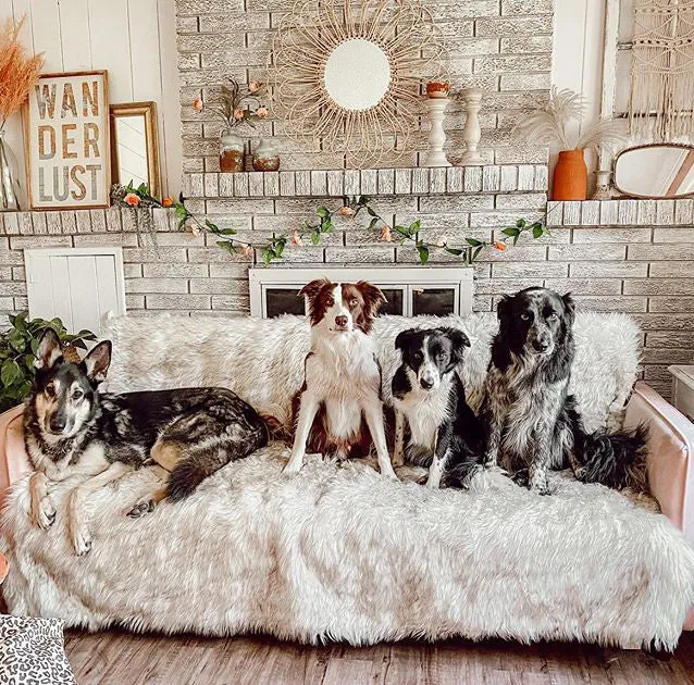 PupProtector Waterproof Dog Blanket - Options